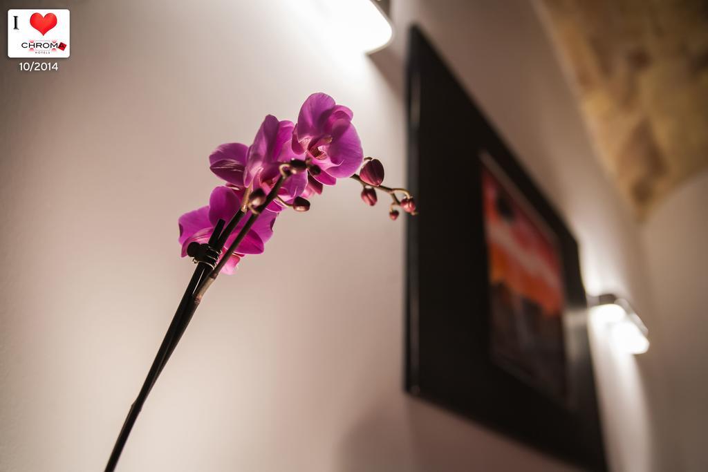 Chroma Italy - Chroma Apt Trastevere Roma Quarto foto